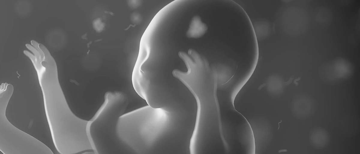 WOMB WARS, CORRUPTION CONSPIRACY! - JEFFREY PRATHER